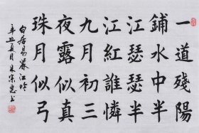 【九年老店，六千好评】【名家书法作品】山东舜源书画艺术院院士，当代书法名家朱老师亲笔手写行书书法作品《白居易 暮江吟》SF6176