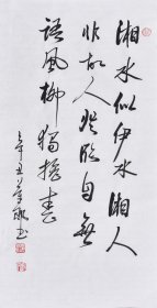 董老师书法作品《望湘亭S》F4886