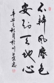 【九年老店，六千好评】【名家书法作品】山东舜源书画艺术院院士，当代书法名家朱老师亲笔手写行书书法作品《 不辨风尘色，安知天地心。》SF6120