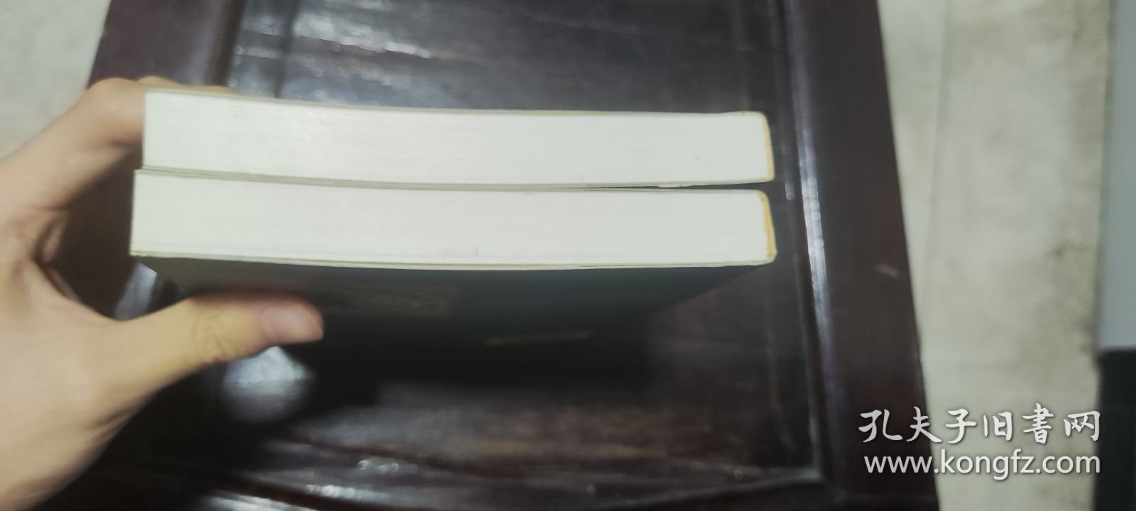 中国清代瓷器鉴赏图录 上下