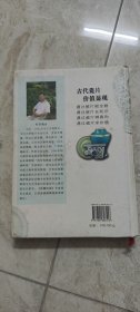 元明清古瓷标本图释