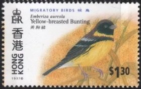 中国香港1997年发行的侯鸟黄胸鹀Yellow-breasted Bunting邮票