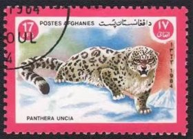 阿富汗1984年发行的雪豹Panthera uncia盖销邮票