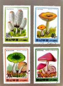 朝鲜1995年发行的蘑菇盖销邮票
