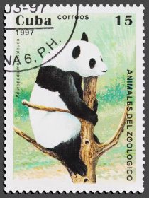 古巴1997年中国国宝大熊猫Ailuropoda melanoleucus盖销邮票
