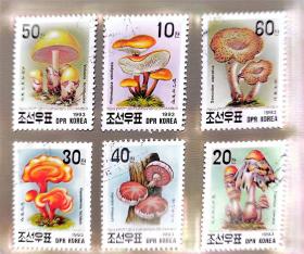 朝鲜1993年发行的蘑菇盖销邮票