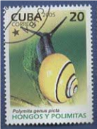 CUBA古巴2005年发行的蜗牛polymita genus picta盖销邮票