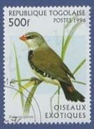 Republique Togolaise多哥1996年发行的外来鸟类oiseaux exotiques斑胁火尾雀emblema guttata盖销邮票