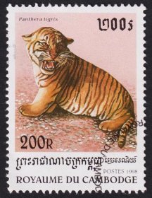 1998年柬埔寨ROYAUME DU CAMBODGE发行的虎Panthera tiger盖销邮票