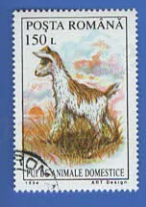 Românâ罗马尼亚1994年发行的PUI DE NIMALE DOMESTICE家羊动物羊羔盖销邮票