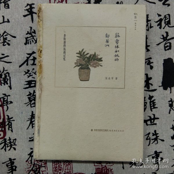 苏雪林和她的邻居们：一条街道的抗战记忆