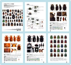 Atlas of Japanese Scarabaeoidea Vol.1 Coprophagous group