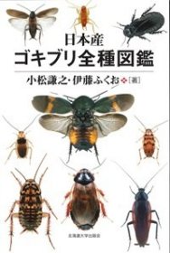 An Illustrated Encyclopedia of the Cockroaches of Japan 日本蜚蠊百科图鉴