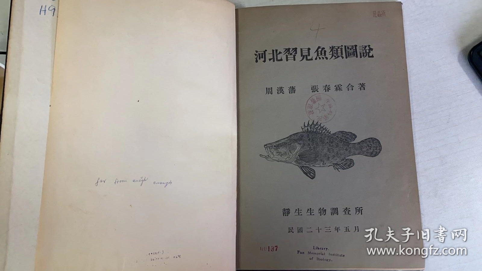 河北习见鱼类图说