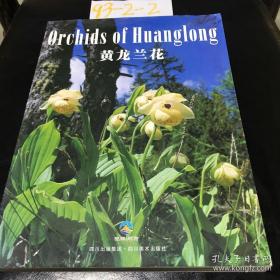 黄龙兰花:[中英文本] ；唐思远 主编 /  / 2