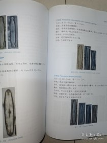珠江流域常见硅藻和底栖动物图谱（珠江流域水生态健康评估丛书）