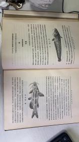 河北习见鱼类图说