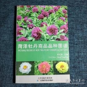 菏泽牡丹商品品种图谱