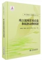 珠江流域常见硅藻和底栖动物图谱（珠江流域水生态健康评估丛书）