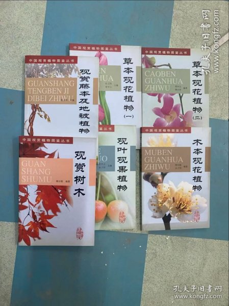 观赏藤本及地被植物 草本观花植物（一，二） 木本观花植物 观叶观果植物 观赏树木