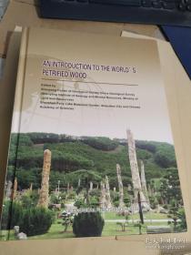 世界木化石概论 英文  An Introduction to the World's Petrified Wood