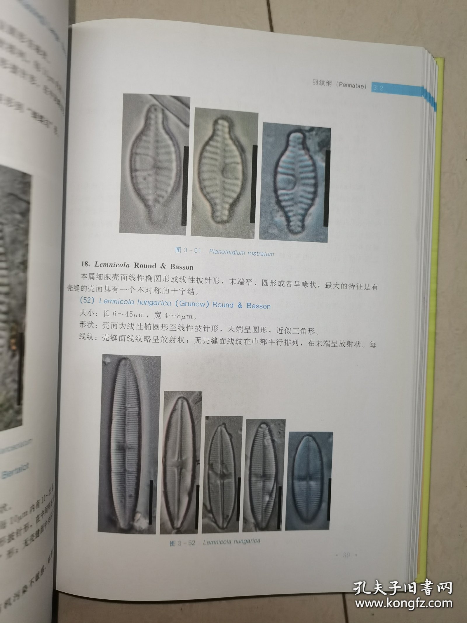 珠江流域常见硅藻和底栖动物图谱（珠江流域水生态健康评估丛书）