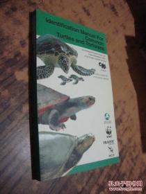 常见龟鳖类识别手册【英文版】Identification Manual for Commom Turtles and Tortoises