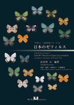 Subtribe Theclina of Japan (Lycaenidae) [English / Japanese]