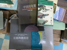 常见龟鳖类识别手册 中国的龟鳖 云南两栖类 北京鱼类和两栖爬行动物