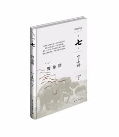 丁小炜 著《野象群》中国好诗 第七季 （精装本）