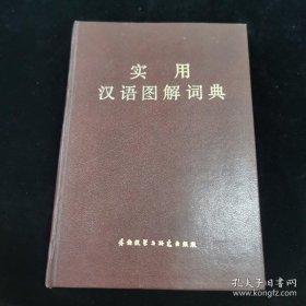 实用汉语图解词典  (硬精装、插图本)