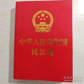 中华人民共和国民法典 中国法制出版社 9787521610178