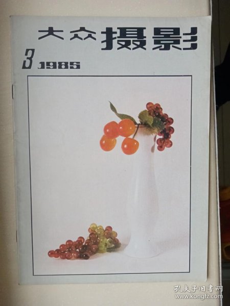 大众摄影1985年第3期