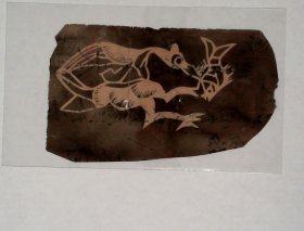 老熏样，收集于烟台蓬莱，剪纸门类, “鸟，抓鱼
