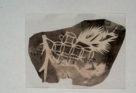 老熏样，收集于烟台蓬莱，剪纸门类, “树、钱纹”