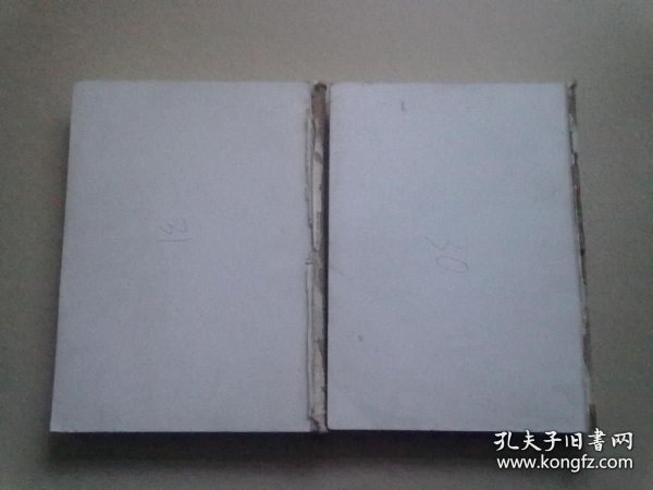 中国地方志集成 山西府县志辑（30·31）《乾隆潞安府志》《康熙宁乡县志》《民国临县志》【全两册】