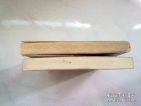 扬州八怪研究资料丛书《扬州八怪年谱》【全两册 上下】大32开平装本