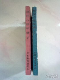扬州八怪研究资料丛书《扬州八怪年谱》【全两册 上下】大32开平装本