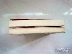 扬州八怪研究资料丛书《扬州八怪年谱》【全两册 上下】大32开平装本