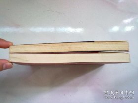 扬州八怪研究资料丛书《扬州八怪年谱》【全两册 上下】大32开平装本