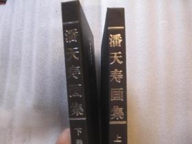 定价380元，潘天寿画集   高清版，精装本，后面有常用印章+年表（比年谱简单）