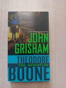 Theodore Boone#2: The Abduction 小小律师西奥多2：绑架案