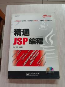 精通JSP编程