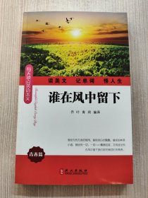 每天读点英语美文·青春篇：谁在风中留下