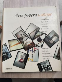 Arte Povera in collection/collezione其他语种