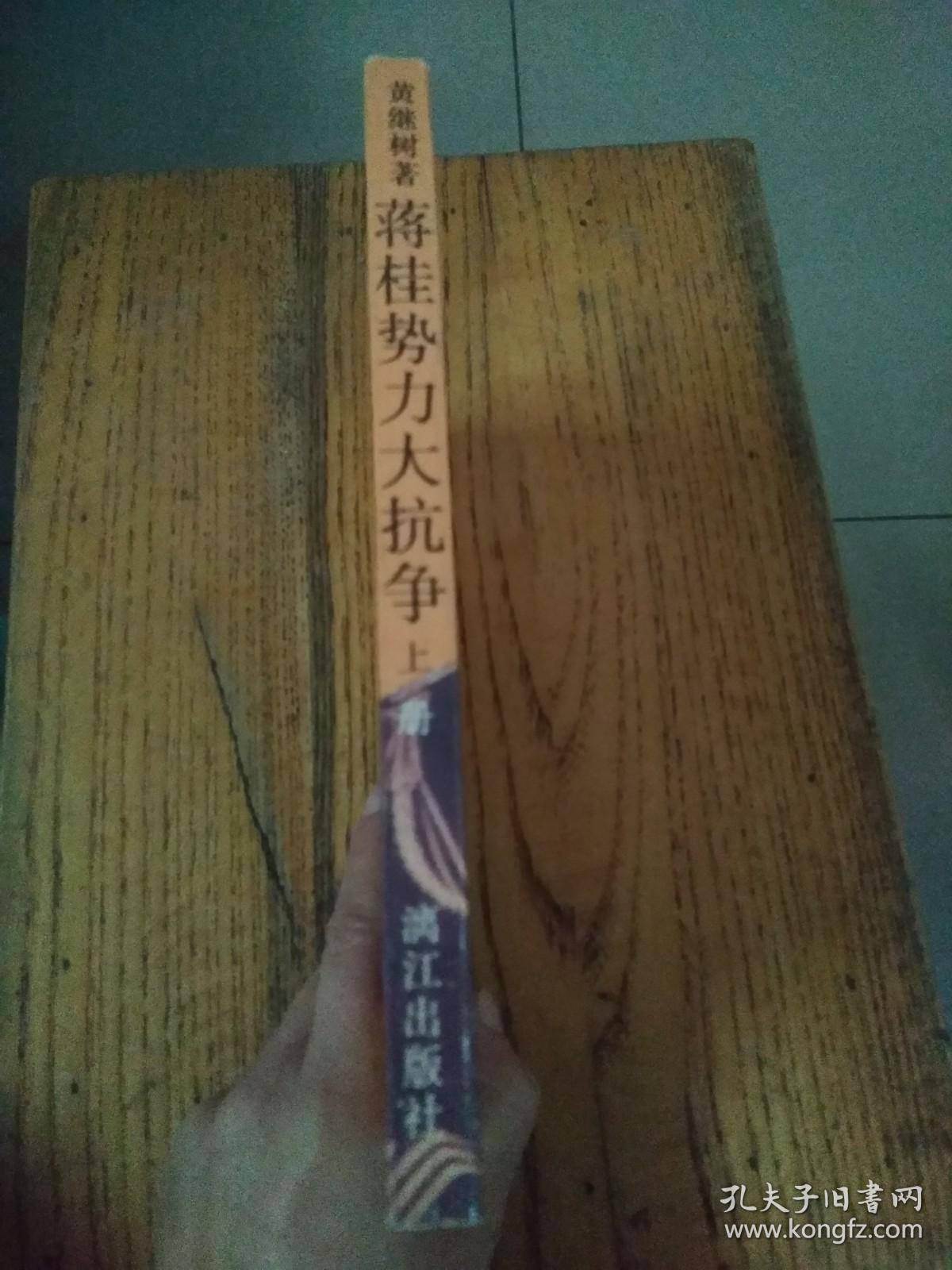 蒋桂势力大抗争——国民党内战纪实（上）