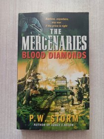 雇佣兵：血钻THE MERCENARIES:BLOOD DIAMONDS