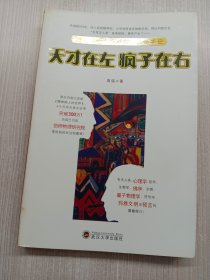 天才在左 疯子在右：国内第一本精神病人访谈手记