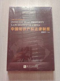 中国知识产权法律制度