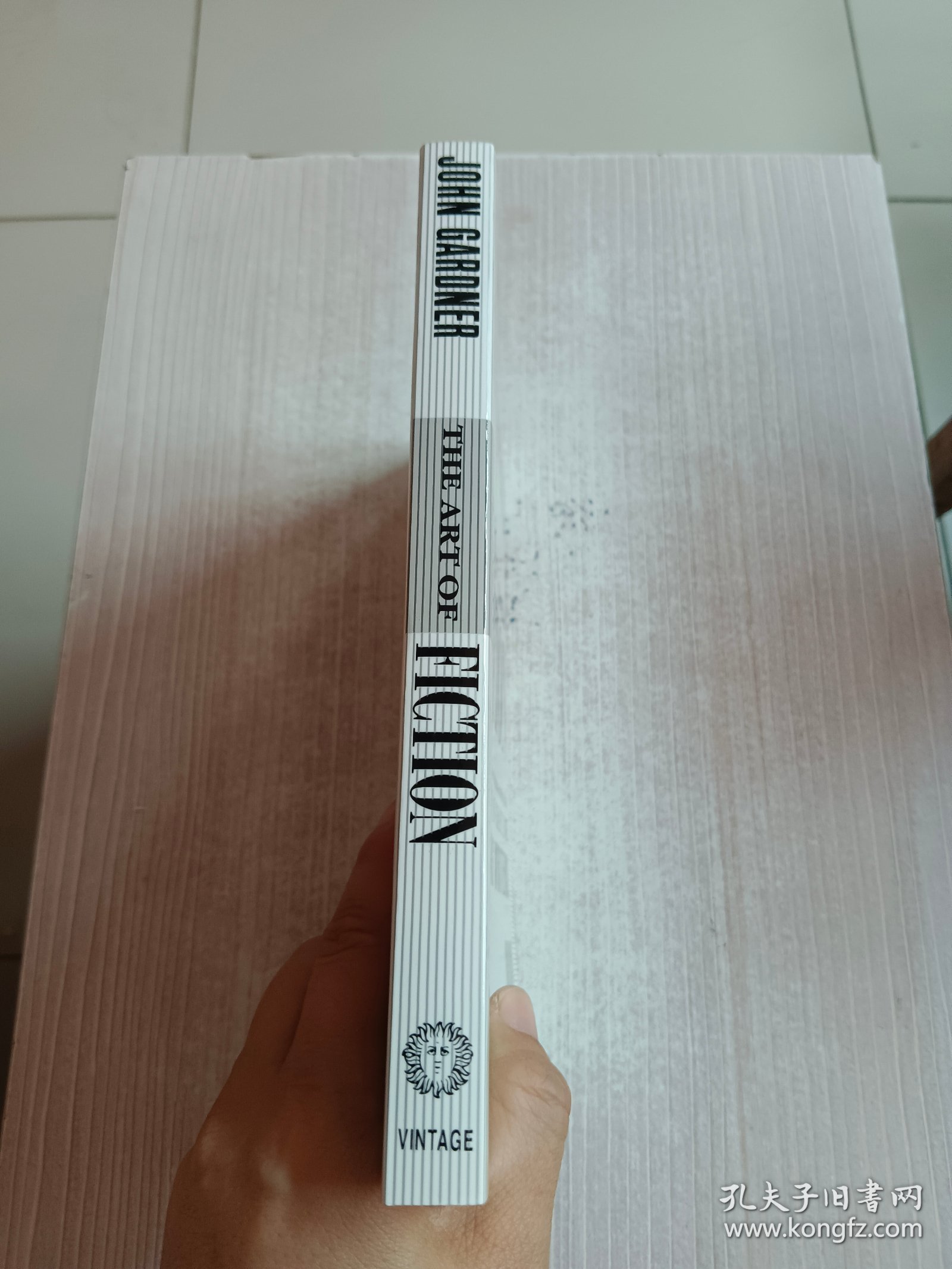 The Art of Fiction：Notes on Craft for Young Writers